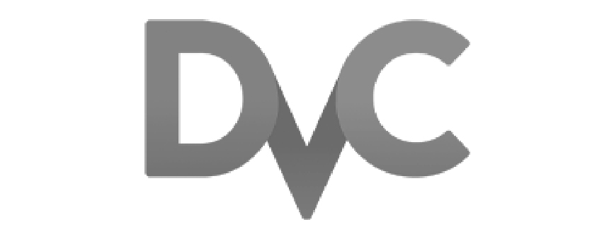Data Version Control